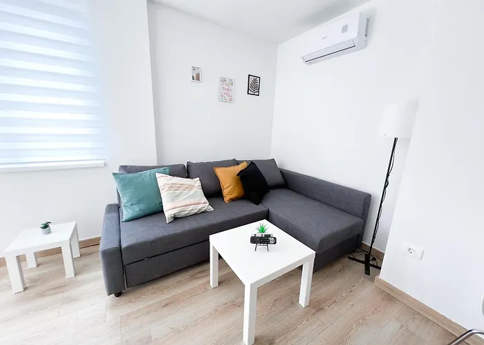 The Pinot's * 科佩尔